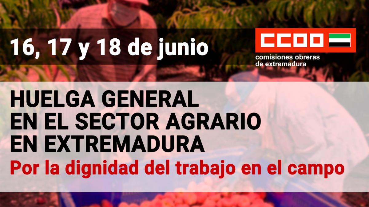 CCOO y UGT convocan huelga en el sector del campo los días 16, 17 y 18 ...
